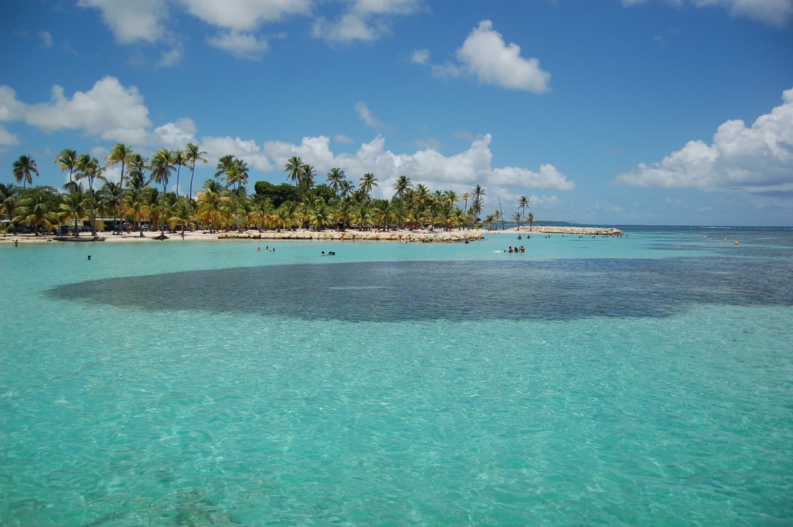 Le lagon turquoise et les cocotiers de la plage de Sainte-Anne, en Guadeloupe