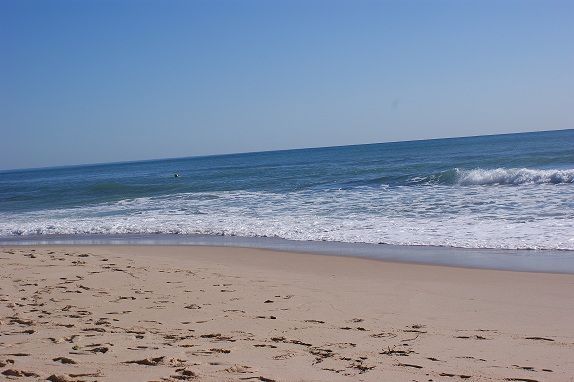 SONY DSC