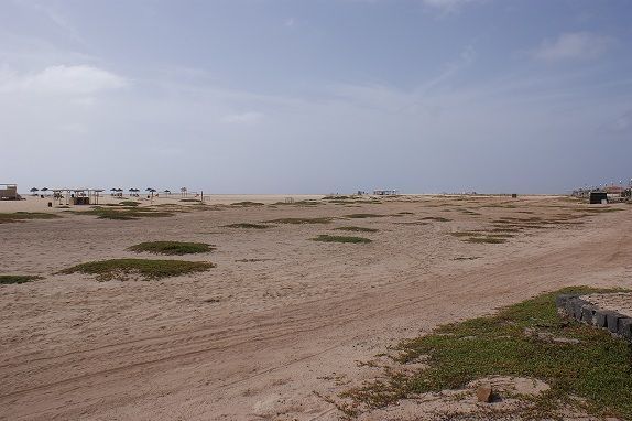SONY DSC
