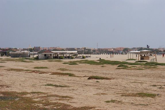 SONY DSC