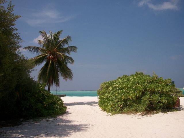 Reves De Voyage Agence De Voyages Rennes Maldives (15) 175