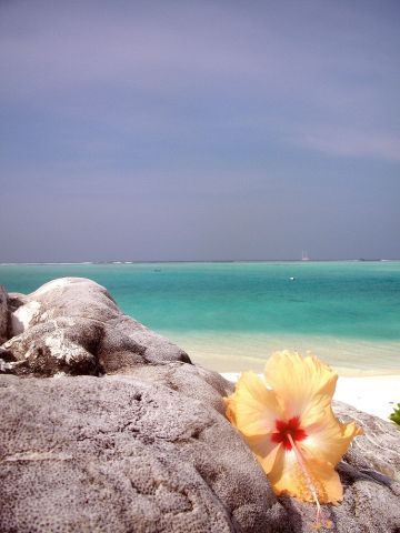 Reves De Voyage Agence De Voyages Rennes Maldives (4) 164